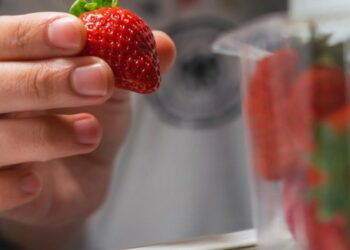 Як зберігати полуницю, щоб залишалася свіжою 2 тижні: ось куди її покласти