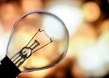 Гібридні ДБЖ