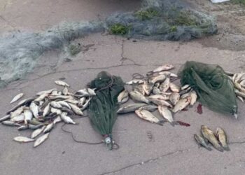 На Чернігівщині виявили браконьєра з Конотопа, який виловив  риби на суму понад  200 тис.грн