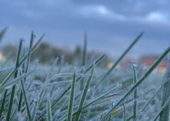 На Сумщині очікуються нічні заморозки