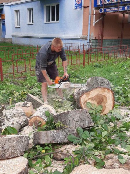 Обрізка дерев &ldquo;під ключ&rdquo;: у Шостці обрізані гілки перетворюють в альтернативне паливо, а деревину віддають комунальникам (+ відео)