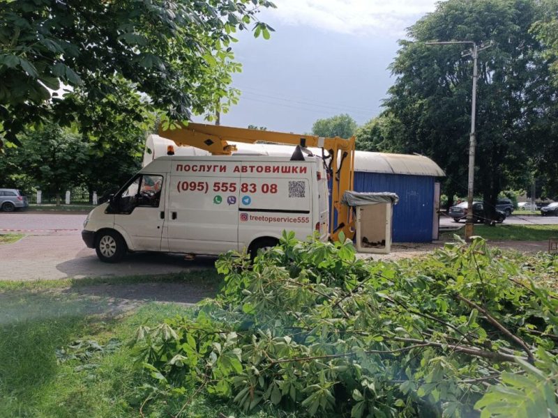 Обрізка дерев &ldquo;під ключ&rdquo;: у Шостці обрізані гілки перетворюють в альтернативне паливо, а деревину віддають комунальникам (+ відео)