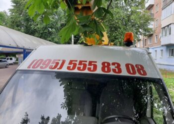 Обрізка дерев “під ключ”: у Шостці обрізані гілки перетворюють в альтернативне паливо, а деревину віддають комунальникам (+ відео)