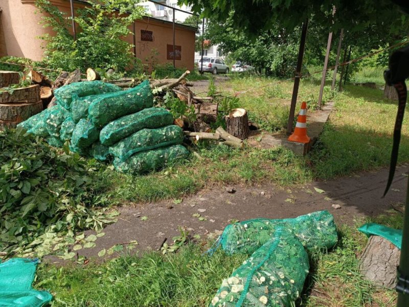 Обрізка дерев &ldquo;під ключ&rdquo;: у Шостці обрізані гілки перетворюють в альтернативне паливо, а деревину віддають комунальникам (+ відео)