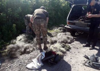 Охтирчанин має сплатити 1,7 млн грн за незаконний вилов риби