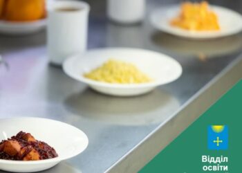 Перевірка стану організації харчування