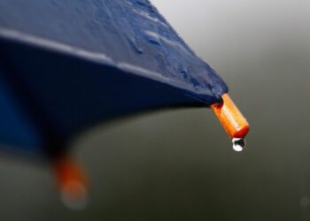 Початок тижня на Сумщині прогнозують дощовим