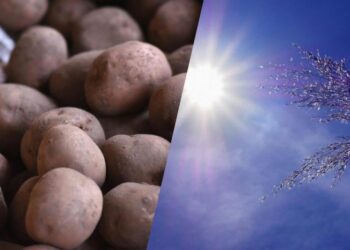 Погода в Україні в червні: метеоролог попередила аграріїв про нову небезпеку