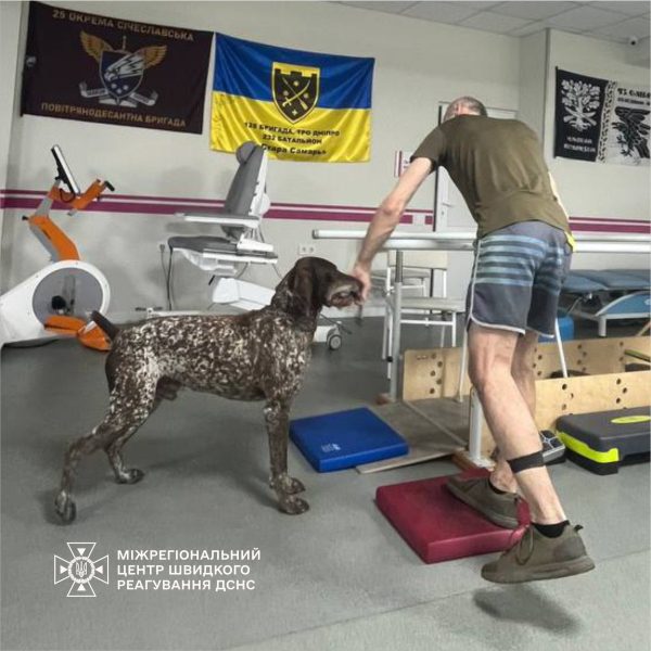 Роменські кінологи разом зі своїми собаками навідалися до одного з реабілітаційних центрів у Дніпрі