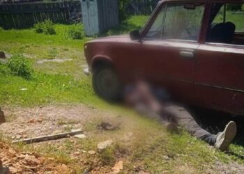 Росіяни скинули вибухівку на ферму на Чернігівщині: загинув чоловік