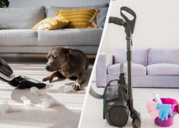 Що категорично не можна пилососити: це зламає техніку