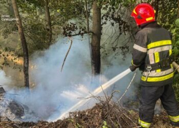 Сумська область: за минулу добу вогнеборці Сумщини 6 разів ліквідовували загоряння сухої рослинності + ФОТО