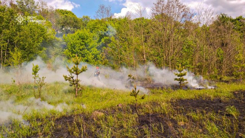 Сумська область: за минулу добу вогнеборці Сумщини 6 разів ліквідовували загоряння сухої рослинності + ФОТО