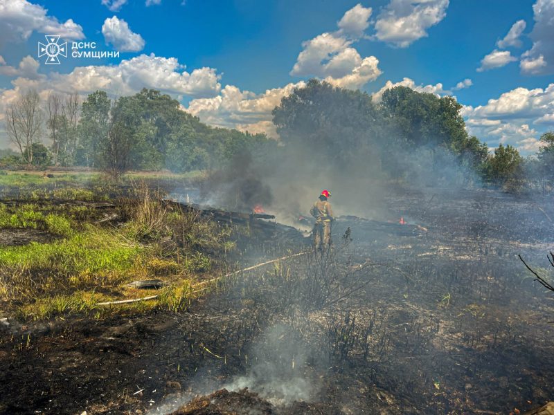 Сумська область: за минулу добу вогнеборці Сумщини 6 разів ліквідовували загоряння сухої рослинності + ФОТО