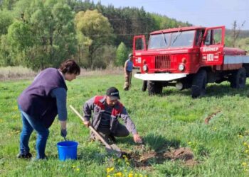У Буймері на Охтирщині спільними зусиллями відроджують горіховий сад