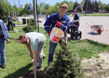 У центрі Охтирки висадили дерева
