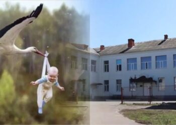 У червні в пологовому будинку Шостки народилось 12 немовлят