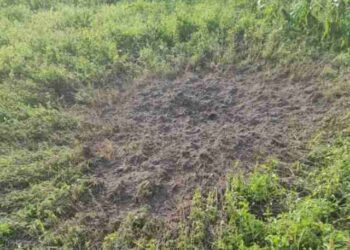 У Юнаківській громаді рашисти вбили жінку