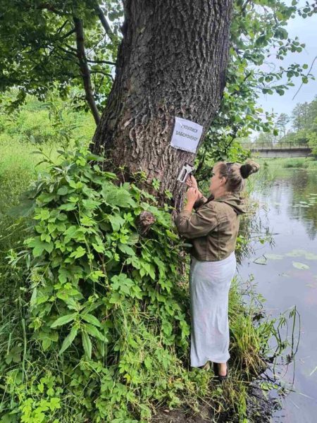 У Шостці на мосту Галенківського озера впала частина опори