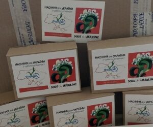 У Шостці жителям громади та ВПО безкоштовно надають насіннєві набори від “Seeds for Ukraine”