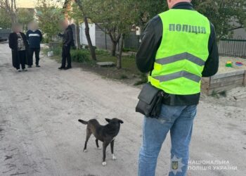 У Сумах собака напав на 4-річну дитину