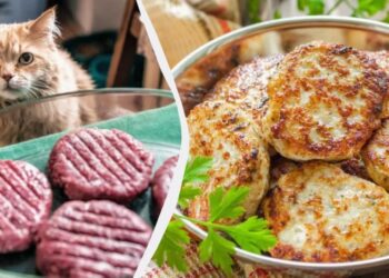 Удвічі більше котлет – рис і картоплю у фарш класти не потрібно: ось що додати