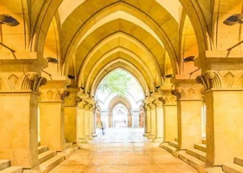 Університет Токіо, який раніше прихистив науковців з України, розглядає можливість прийняти іноземних студентів Гарварду