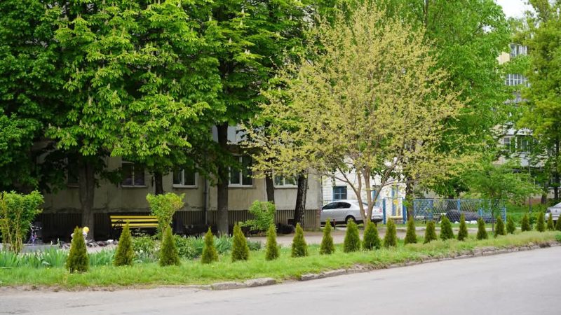 В Охтирці висадили дерева в пам’ять про загиблих захисників