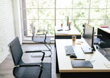 В Україні побільшало вакансій для людей без досвіду та зросла середня зарплата: дослідження