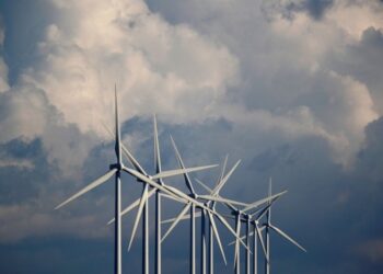 Вітроенергетика не знаходить підтримки Мінфіну щодо пільгового імпорту вітротурбін, – голова УВЕА