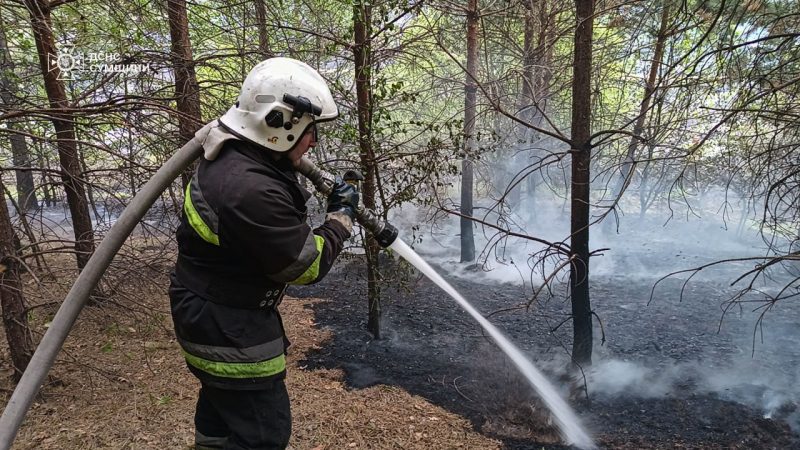 Вогнеборці Сумщини 6 разів ліквідовували загоряння сухої рослинності