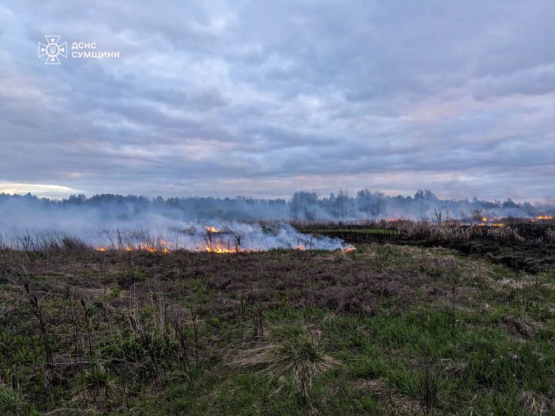 Вогнеборці Сумщини 6 разів ліквідовували загоряння сухої рослинності