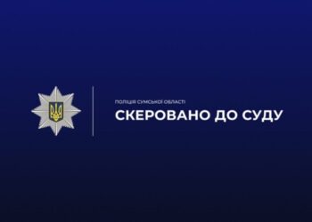 Знайшов у лісосмузі та залишив собі: на Конотопщині поліція вилучила у чоловіка боєприпаси