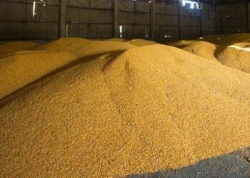 Україна пригрозила санкціями Бангладеш