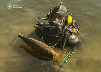 На Сумщині піротехніки ДСНС виявили та знищили 6 вибухонебезпечних предметів