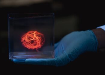 Вчені зможуть друкувати мережі кровоносних судин для штучних органів