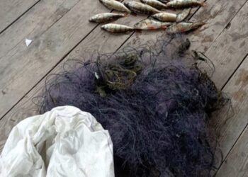 57 тисяч гривень за 17 окунів: на Новгород-Сіверщині рибалку спіймали на незаконному вилові риби