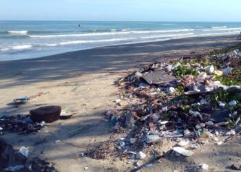 Мікропластик у їжі шкодить печінці та порушує метаболізм – дослідження