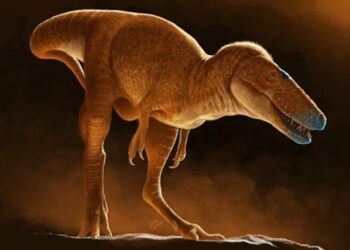 У Монголії виявили найближчого предка тиранозаврів