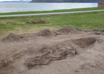 У Норвегії виявили 1000-річне поховання жінки-вікінга з її собакою