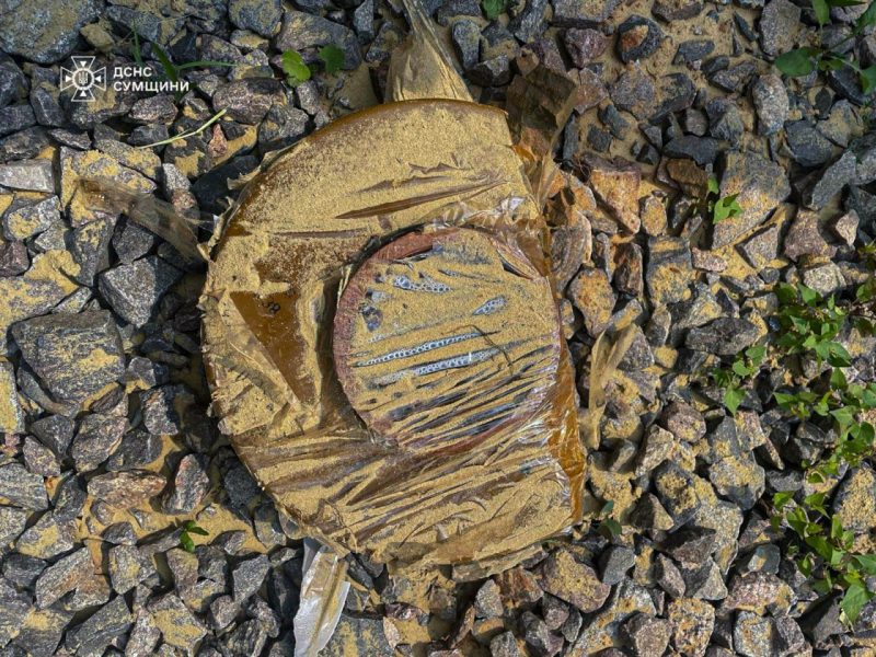 На Сумщині піротехніки ДСНС виявили та знищили 6 вибухонебезпечних предметів