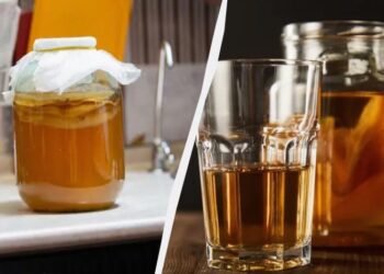 Чим корисний чайний гриб: приготування, догляд, як виростити