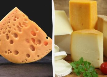 Ціни на сир в Україні до осені перепишуть: експерти пояснили, що чекає на українців