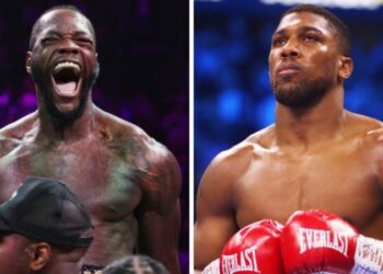 Деонтей Вайлдер відповів на запитання про можливий поєдинок із Джошуа