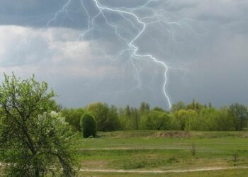 До кінця доби на Сумщині очікується гроза, завтра – пориви вітру