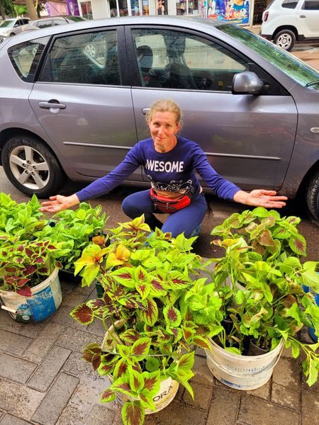 Дві небайдужі жительки Шостки прикрасили занедбану клумбу новими квітами