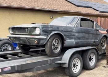 Культовий американський спорткар за $350 000 простояв пів століття надворі (ВІДЕО)