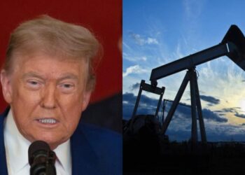 “Граєте на руку ворога”: Трамп закликав усі країни світу не допускати зростання цін на нафту