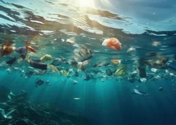 Японські вчені розробили пластик, який розчиняється у морській воді за кілька годин