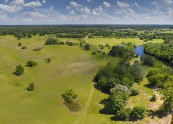 Ландшафтне та біологічне різноманіття на землях природо-заповідного фонду Охтирської міської територіальної громади